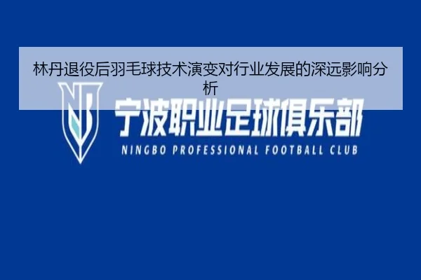 林丹退役后羽毛球技术演变对行业发展的深远影响分析