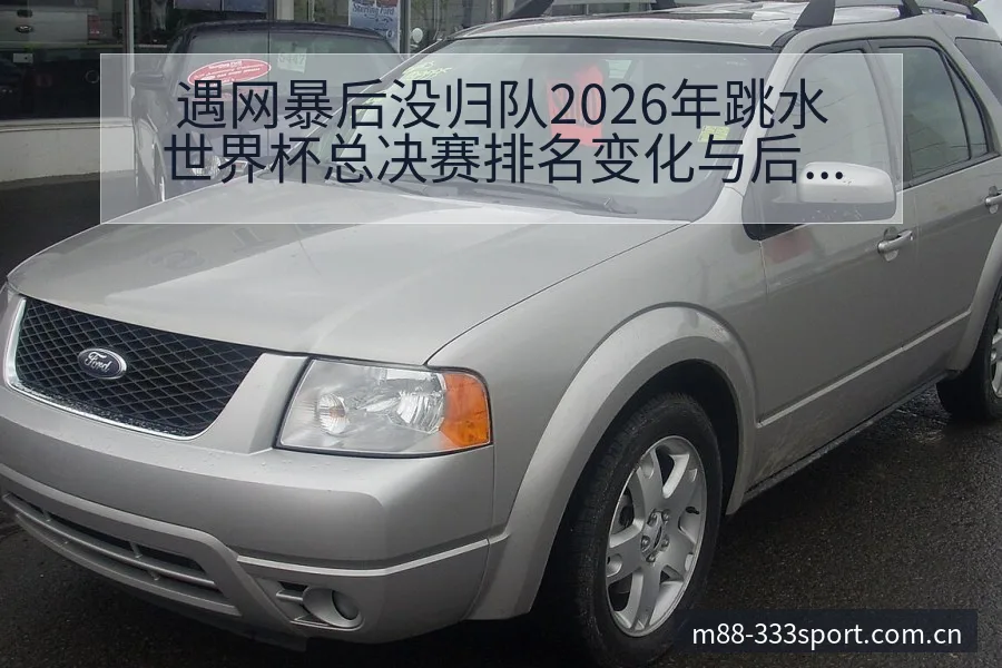 遇网暴后没归队2026年跳水世界杯总决赛排名变化与后续走 - 333体育